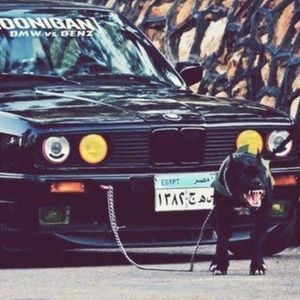 Meet your Posher, Oleksander